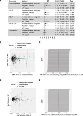 Genetic insight into putative causes of xanthelasma palpebrarum: a Mendelian randomization study